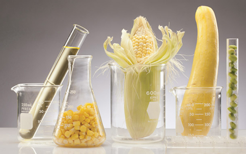 food science2