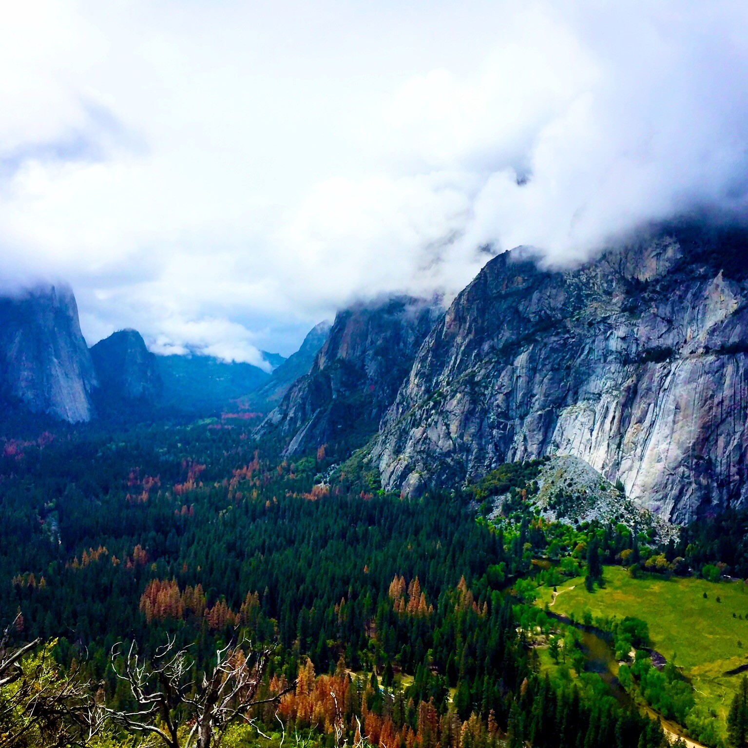Yosemite National Park. (Photo credit: Deirdre Carlson)
