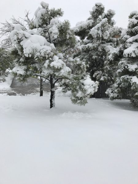 Kelsery Sergison Santa Fe Snow, Registered Dietitian
